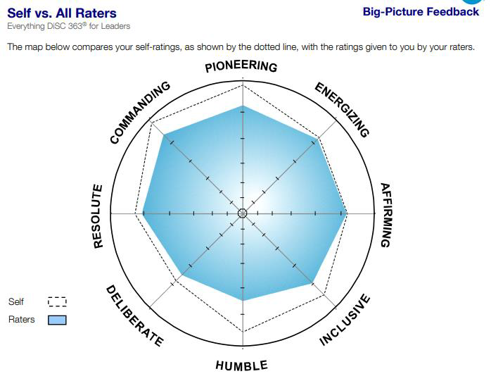 DiSC 363 Assessment