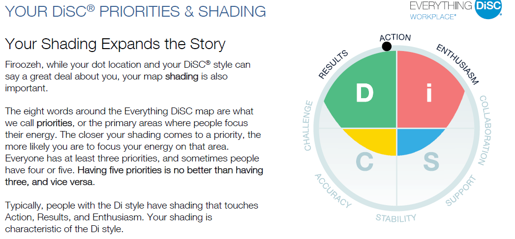 DiSC Workplace Assessment